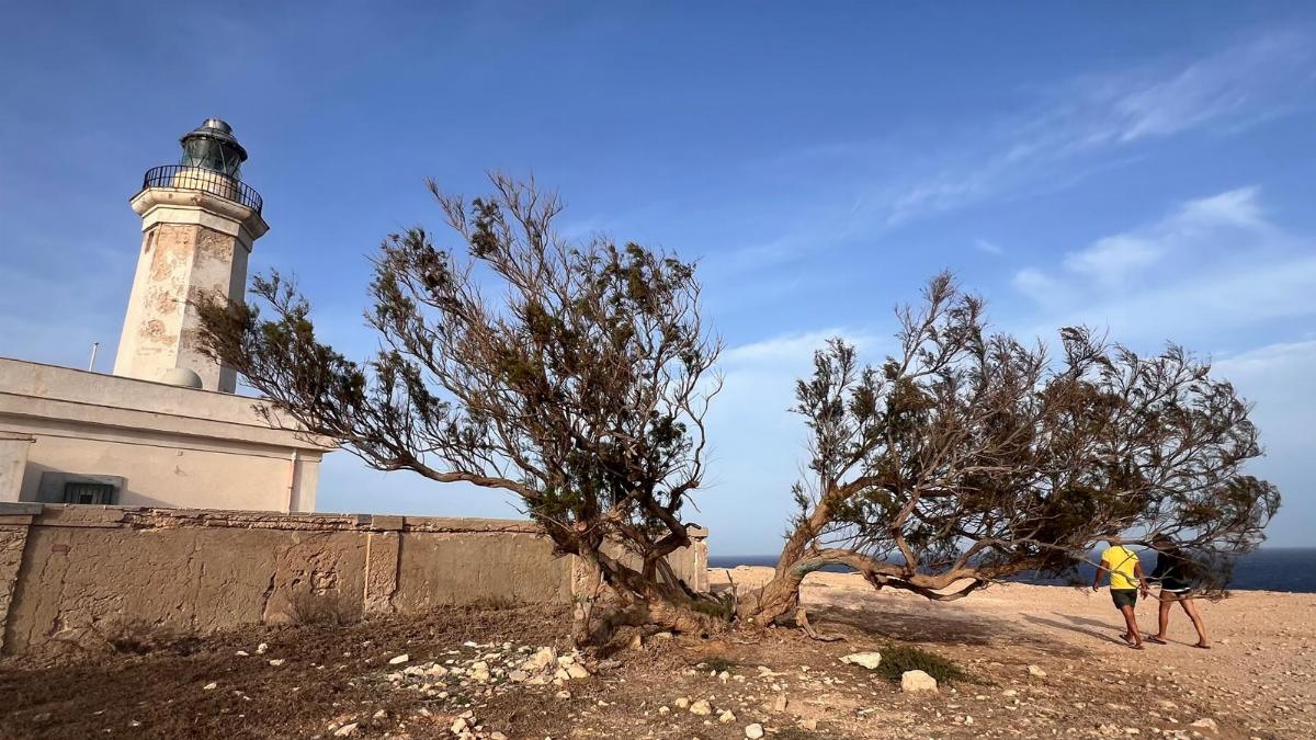Faro di Capo Grecale simbolo di Lampedusa e del Mediterraneo